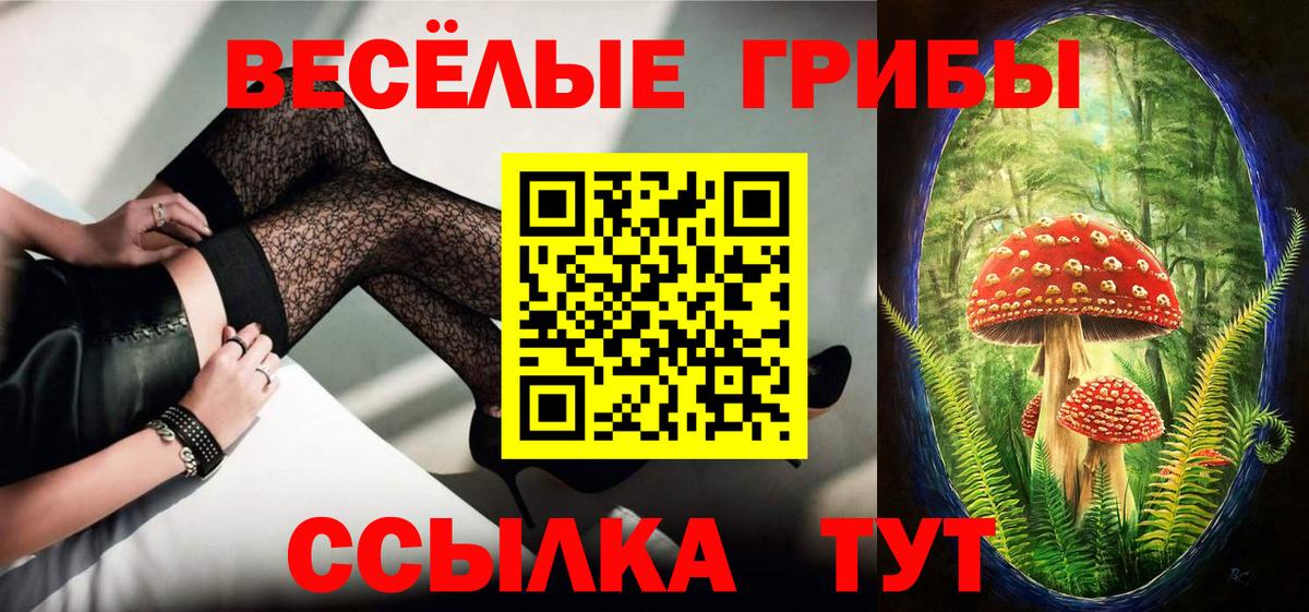 Галлюциногенные грибы ЛСД  магазин продажи наркотиков  Егорьевск  Вход с VPN 