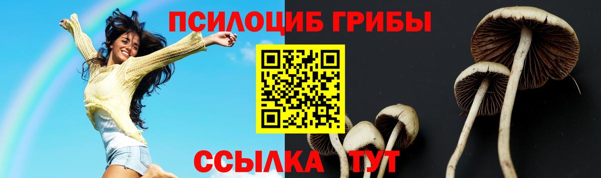 Галлюциногенные грибы MAGIC MUSHROOMS Егорьевск